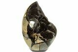 Polished Dragon Egg Septarian Geode - Free-Standing #344448-1